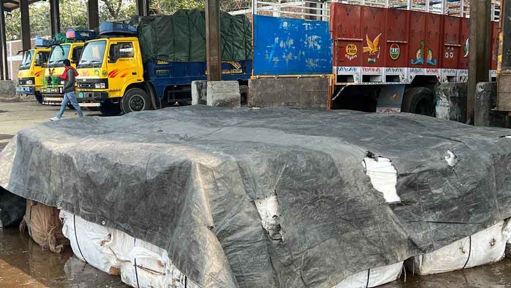 বেনাপোলে মিথ্যা ঘোষণায় ইলিশ আমদানি