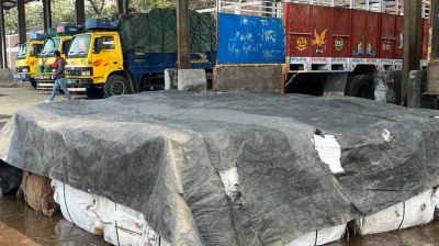 বেনাপোলে মিথ্যা ঘোষণায় ইলিশ আমদানি