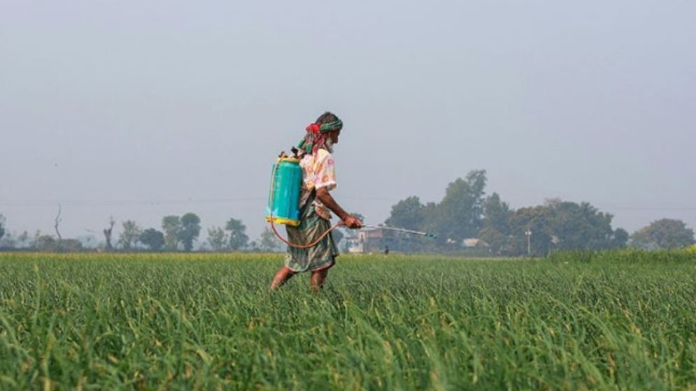 কৃষি খাতের সংস্কারও গুরুত্ব পাওয়ার দাবি রাখে