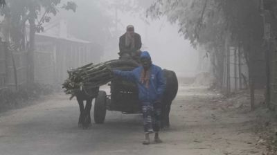 দুই জেলায় বইছে মৃদু শৈত্যপ্রবাহ, তাপমাত্রা নামল ৯ ডিগ্রিতে