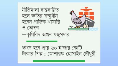 রোজায় মুরগির দাম বাড়ার শঙ্কা