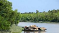 পশ্চিম সুন্দরবনে বাড়ছে জলদস্যুতা, ২০ জেলেকে অপহরণ