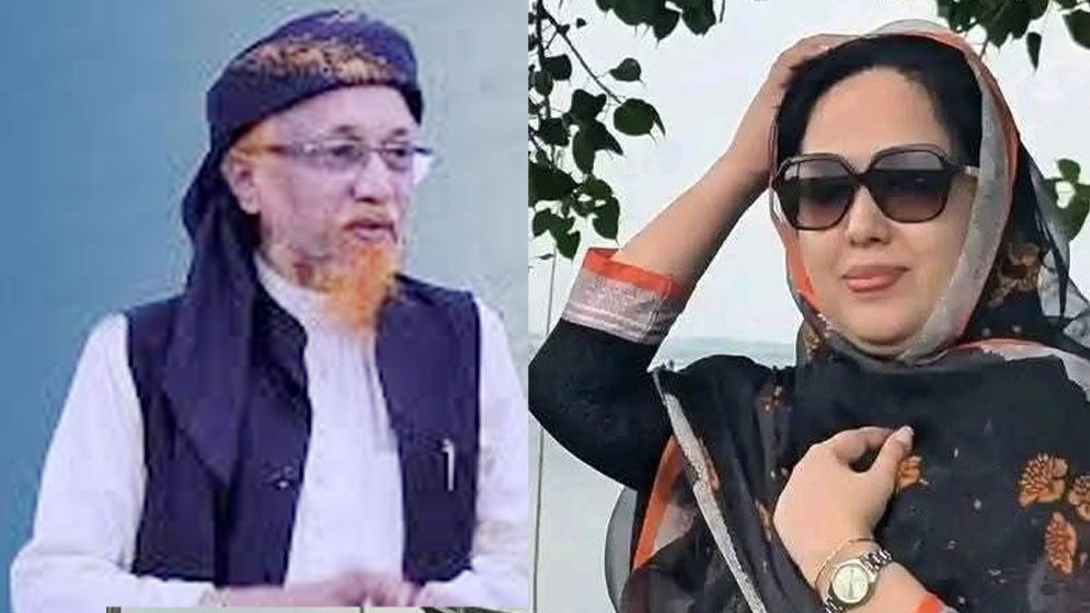 রুমিন ফারহানার অভিযোগের বিষয়ে যা বললেন বিএনপি সমর্থিত জুনায়েদ আল হাবিব