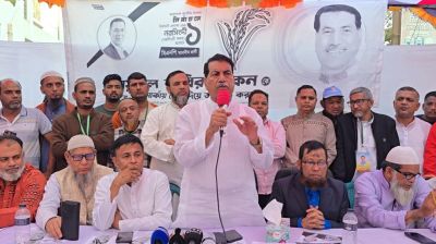 ধানের শীষের গণজোয়ার দেখে নির্বাচন বানচালের চেষ্টা করছে একটি মহল