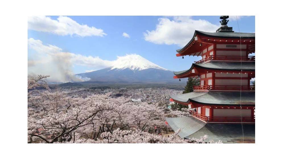 এবার হচ্ছে না জাপানের বিখ্যাত ‘চেরি ব্লসম’ উৎসব