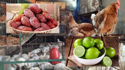 রোজা শুরুর আগেই বেড়েছে খেজুর-মুরগি-লেবুর দাম