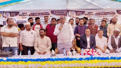 তারেক রহমানের ‘আই হেভ এ প্ল্যান’ বাস্তবায়নে ধানের শীষে ভোট চাইলেন রেদোয়ান