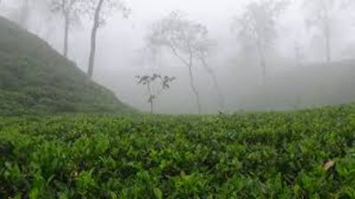 মৌলভীবাজারে দেশের সর্বনিম্ন তাপমাত্রা রেকর্ড