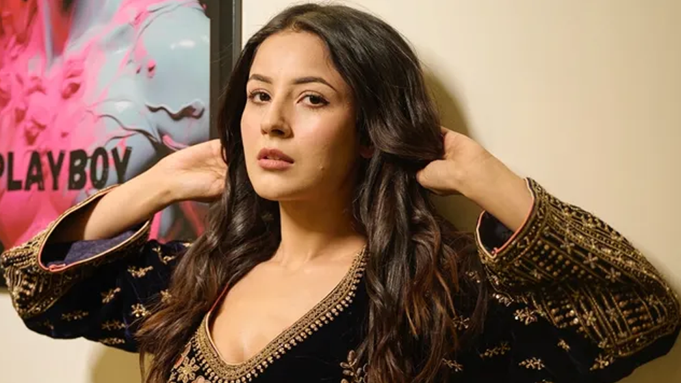 তাকে কিছুটা সময় নিজের মতো বাঁচতে দিন: শেহনাজ গিল
