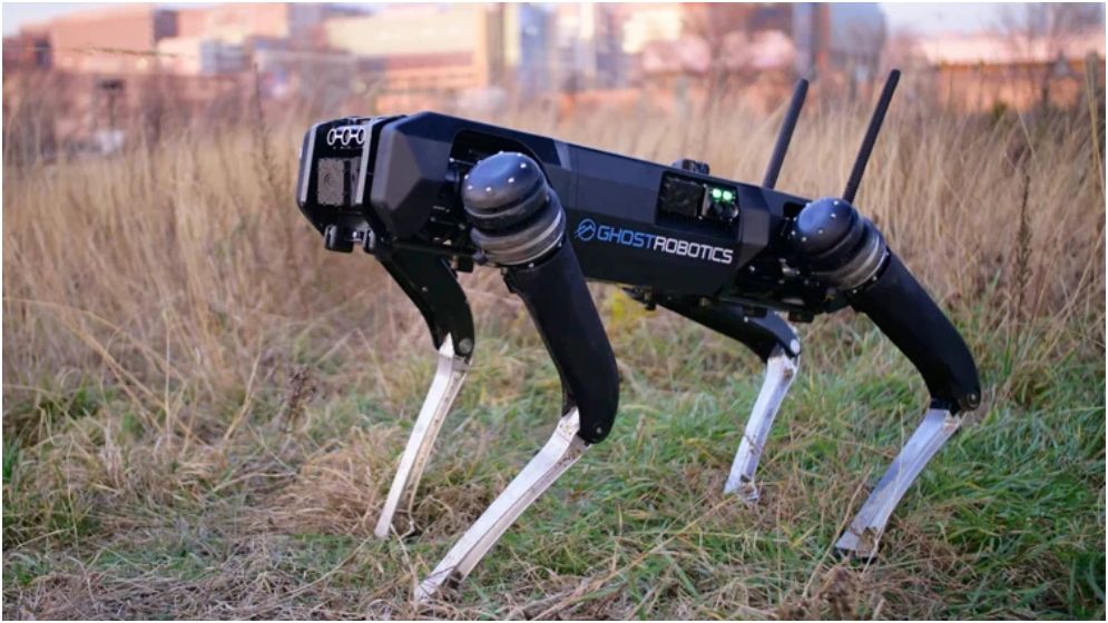 বিশ্বকাপে নিরাপত্তায় রোবট কুকুর নামাচ্ছে পুলিশ