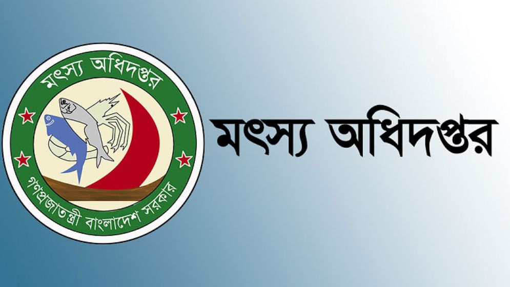 মৎস্য অধিদপ্তরে ২৮৪ পদে বড় নিয়োগ