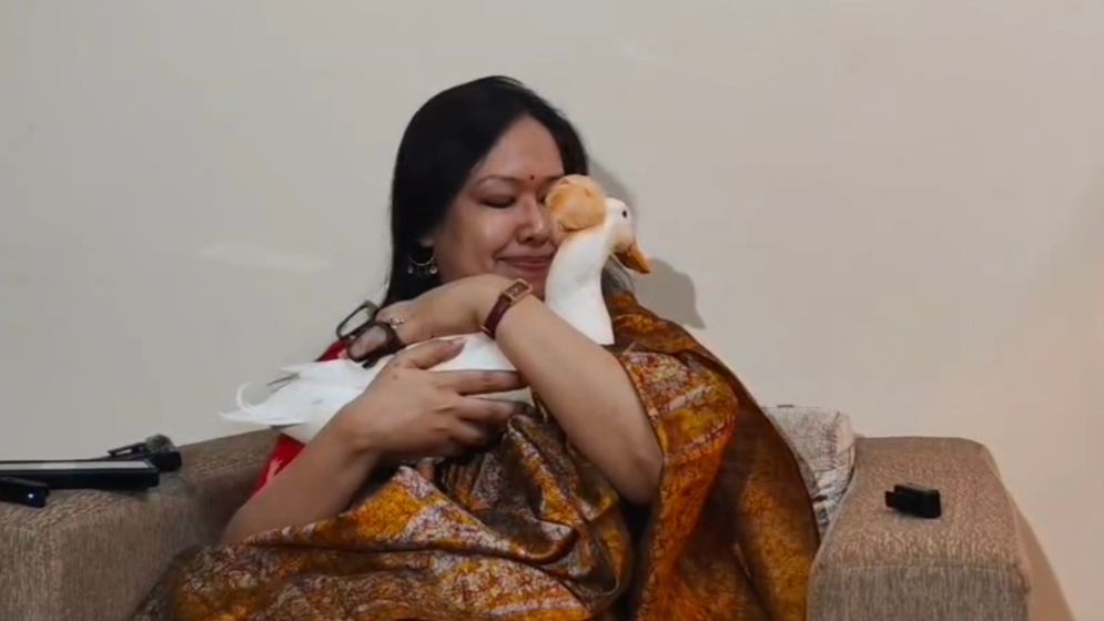 হাঁস লক্ষ্মীর প্রতীক: রুমিন ফারহানা