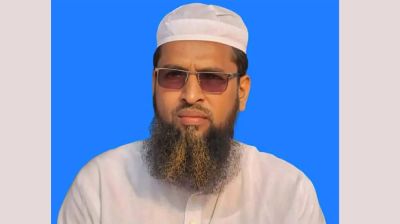 প্রথমবারের মতো সংসদে যাচ্ছে ইসলামী আন্দোলন