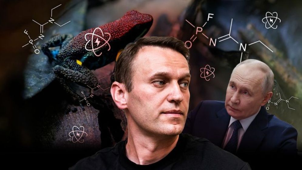 নাভালনি হত্যাকাণ্ডে নতুন মোড়, বেরিয়ে এল চাঞ্চল্যকর তথ্য