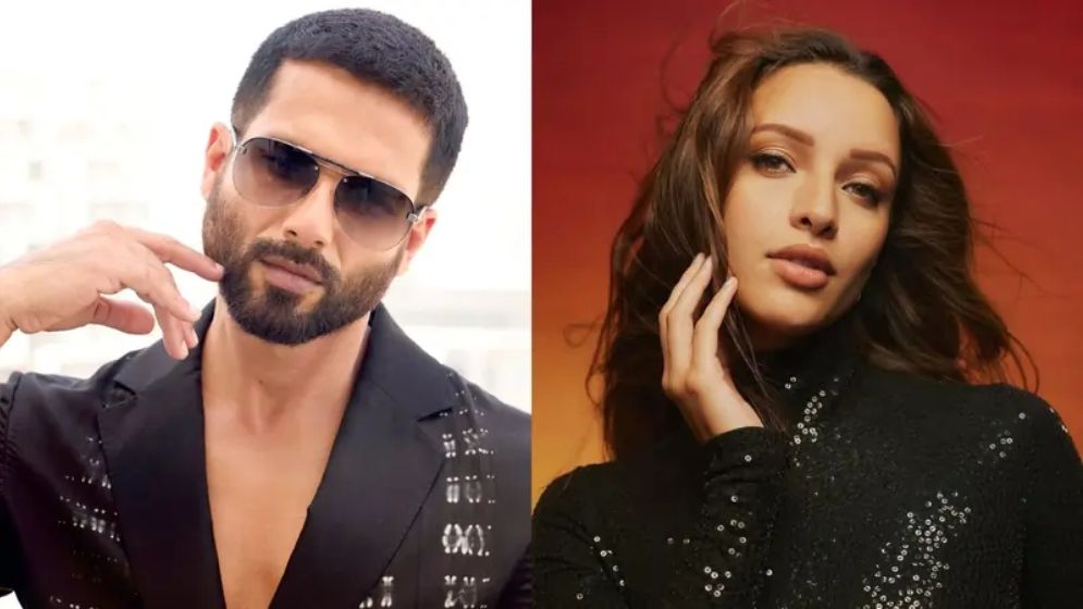 মুক্তির দুদিনেও নজরকাড়তে পারল না শাহিদ-তৃপ্তির  'ও রোমিও'