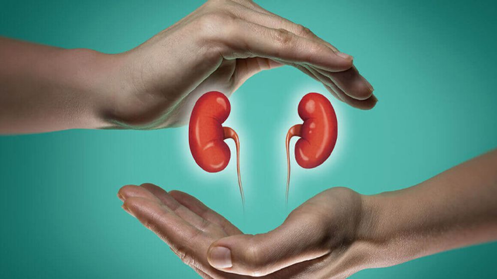 আপনার কিডনি সুস্থ আছে তো? যে পরীক্ষা থেকে জানবেন