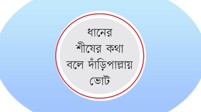 কুষ্টিয়ায় আ.লীগের কৌশলের কাছে ধরাশায়ী বিএনপি