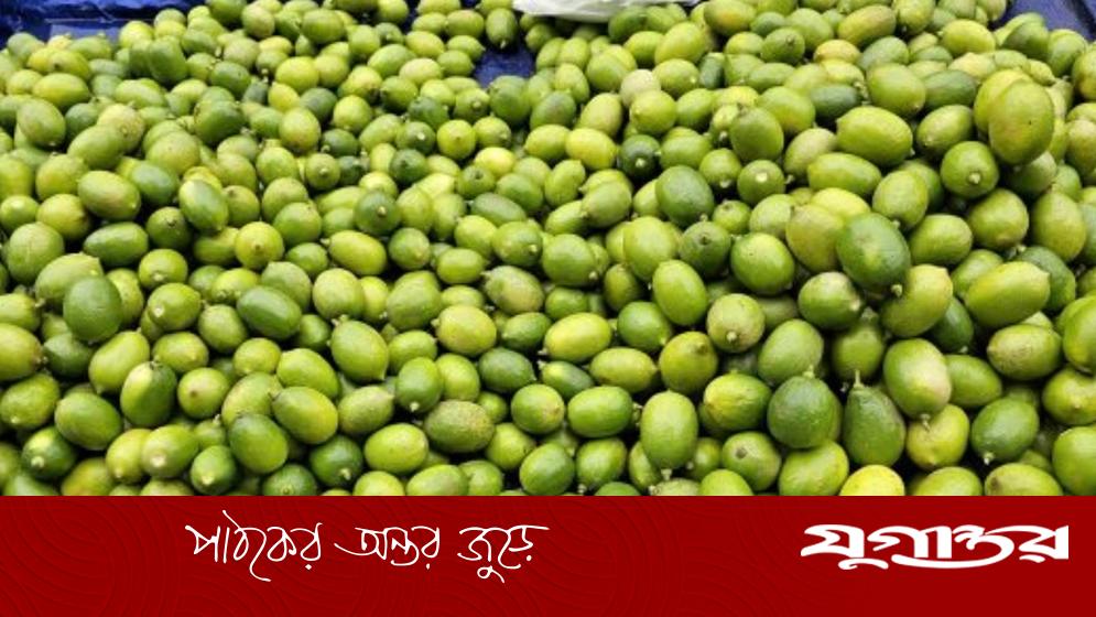 বগুড়ায় রমজানের আগেই লেবুর দাম চড়া, ক্রেতাদের মধ্যে অসন্তোষ