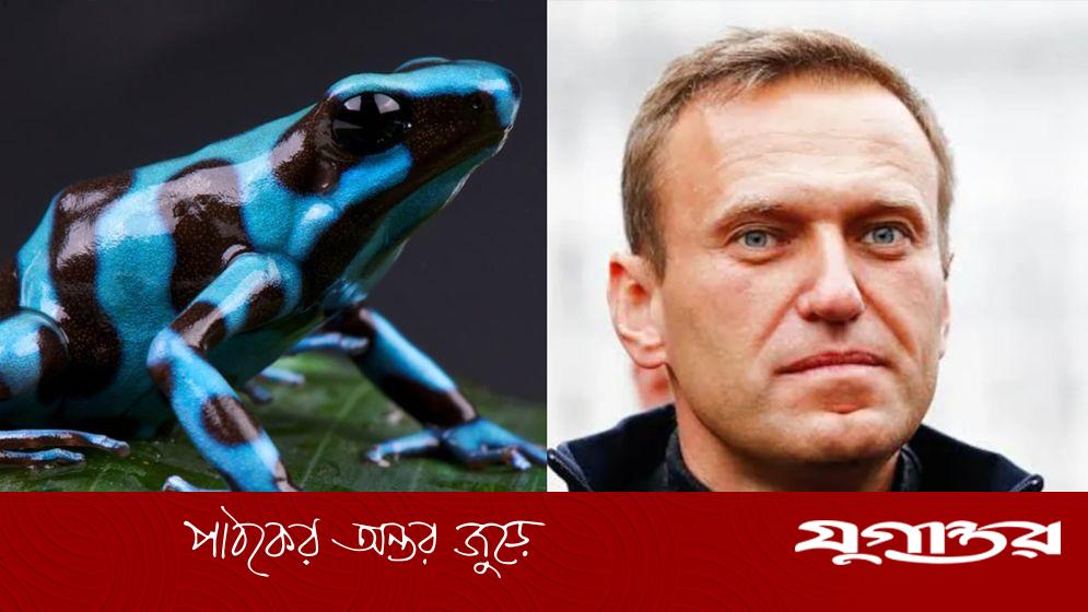 নাভালনি হত্যায় 'ডার্ট ফ্রগ' বিষের অভিযোগ, রাশিয়া প্রত্যাখ্যান করেছে