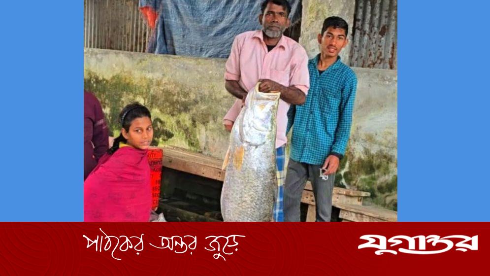 বরগুনার তালতলীতে জেলের জালে ধরা পড়ল সাড়ে ২২ কেজির বিরল কোরাল মাছ