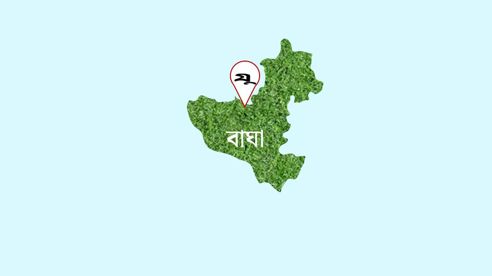 সড়ক দুর্ঘটনায় প্রাণ হারালেন একই পরিবারের ৫ জন