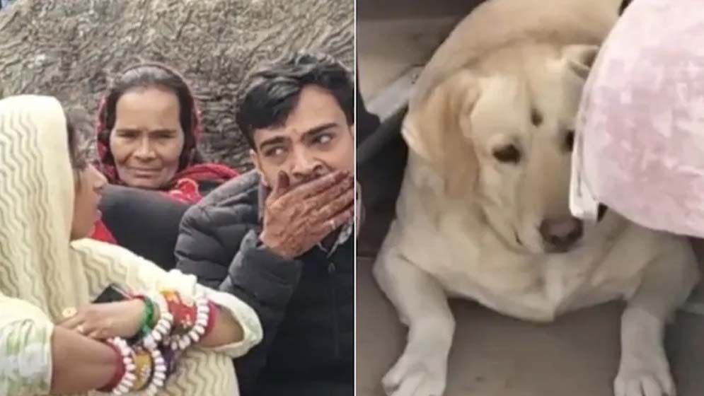 বিয়েবাড়িকে রণক্ষেত্রে পরিণত করল কনের পোষা কুকুর