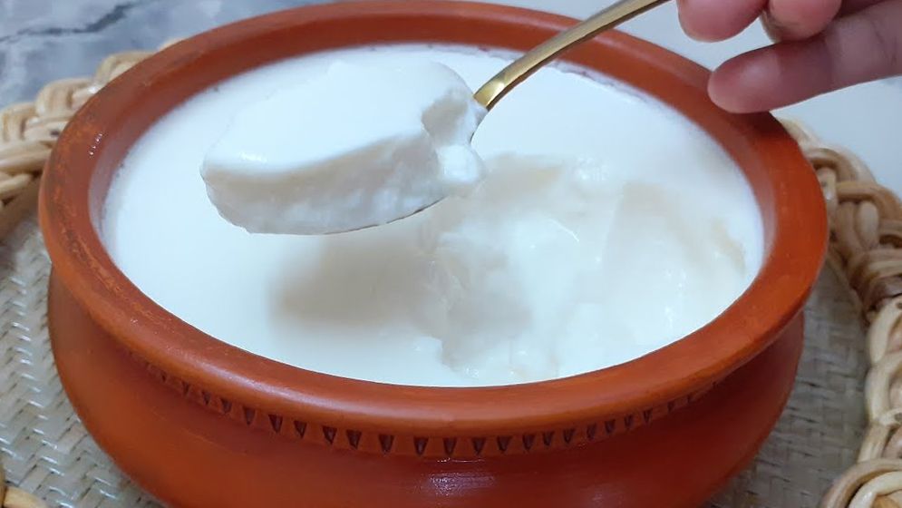 পেটের জন্য টক দই কতটা উপকারী?