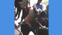 টেন্ডার জমা নিয়ে বিএনপি নেতাকর্মীদের হাতে লাঞ্ছিতের অভিযোগ জামায়াত নেতার