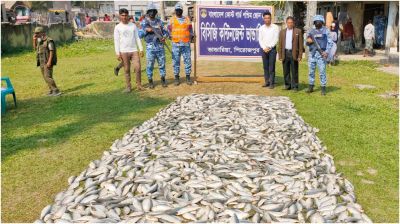 ভান্ডারিয়ায় ১০ মন জাটকা উদ্ধার, ৩ জনের কারাদণ্ড