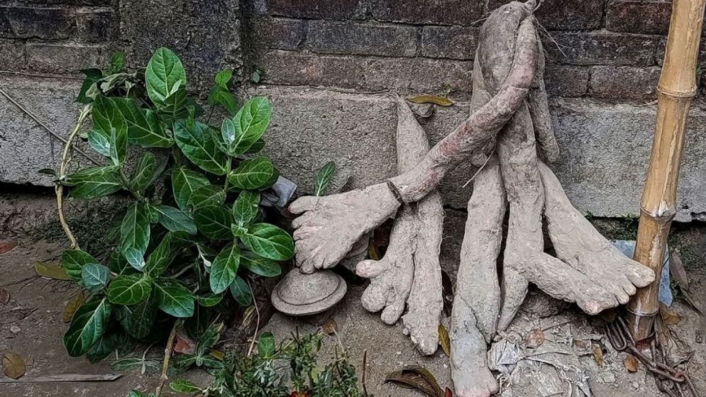 মাটি খুঁড়তেই বেরিয়ে এলো অদ্ভুত আকৃতির আলু