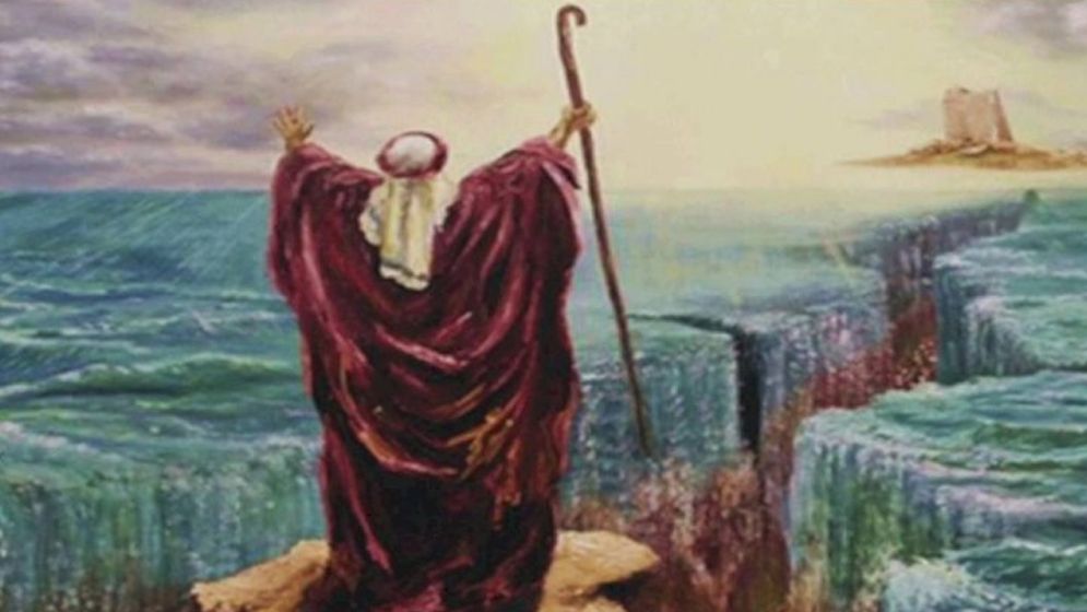 মুসা (আ.) যখন আর ধৈর্য ধরতে পারেননি!