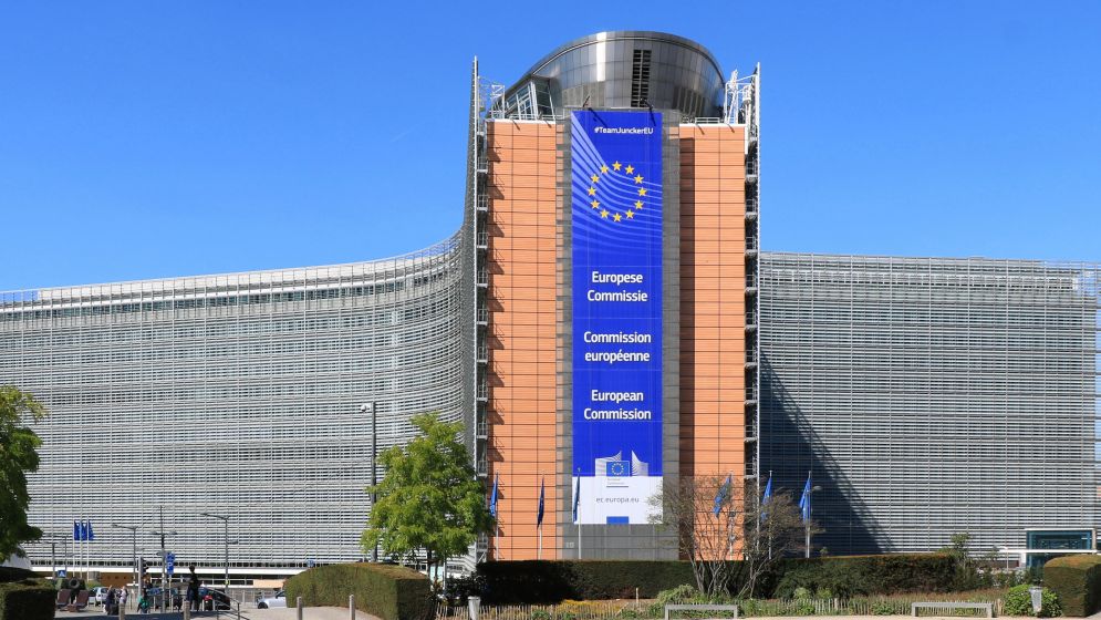 ইউরোপীয় কমিশনে চাকরি