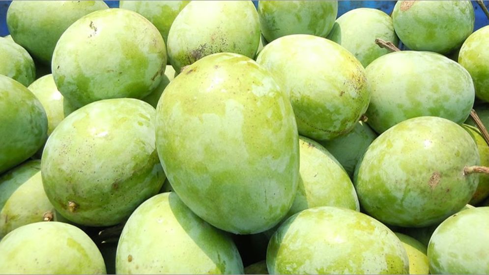 আমের নাম ‘ল্যাংড়া’ হলো যেভাবে