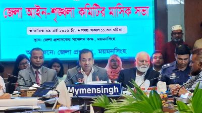 পর্যাপ্ত পরিমাণ পেট্রল মজুত আছে: তথ্য প্রতিমন্ত্রী