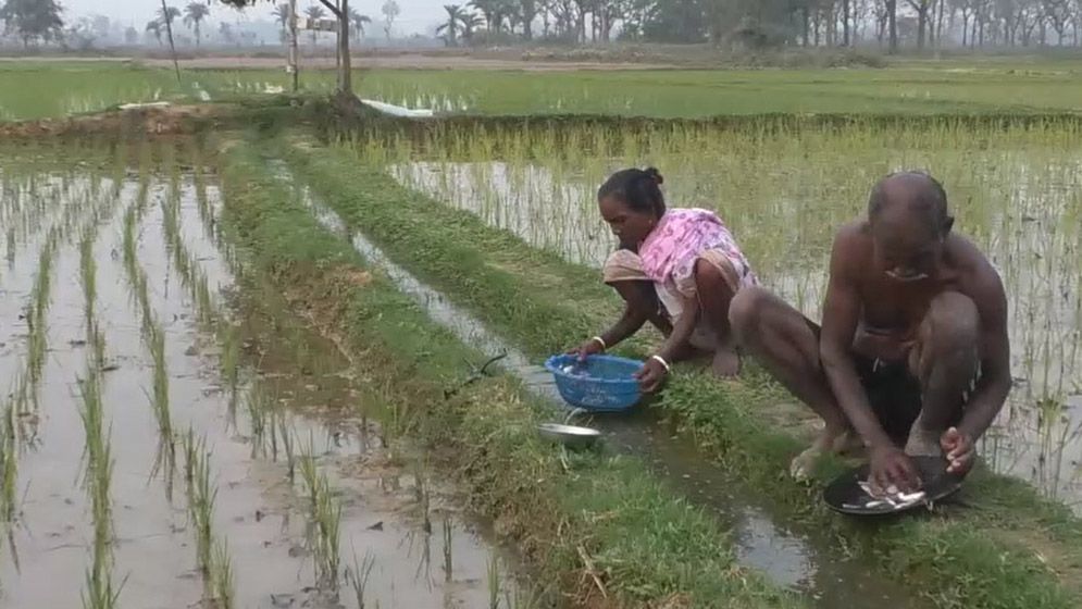 গোবিন্দগঞ্জে সাঁওতাল পল্লিতে পানির জন্য হাহাকার