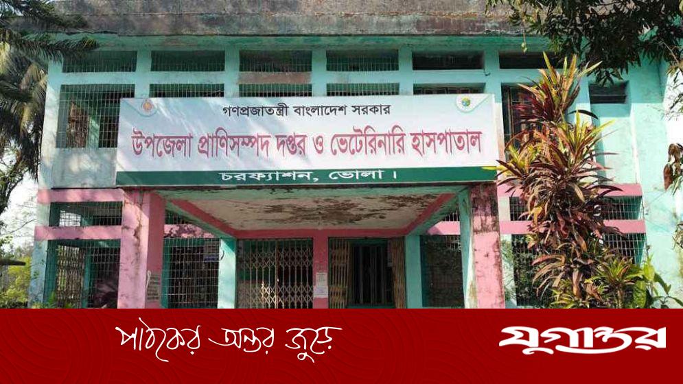 চরফ্যাশনে সরকারি পশু ভ্যাকসিন বাড়তি দামে বিক্রির অভিযোগ, চার কর্মকর্তা জড়িত