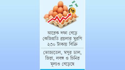 ৬ টাকার ডিম ক্রেতা কিনছে ১১ টাকায়