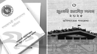 সংবিধান ও সংবিধান সংস্কার আদেশ : নতুন জটিলতা