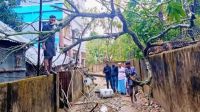 কমলগঞ্জে ঝড়ে বিদ্যুতের খুঁটি ভেঙে ৩ ট্রান্সফরমার ক্ষতিগ্রস্ত, সংযোগ বিচ্ছিন্ন