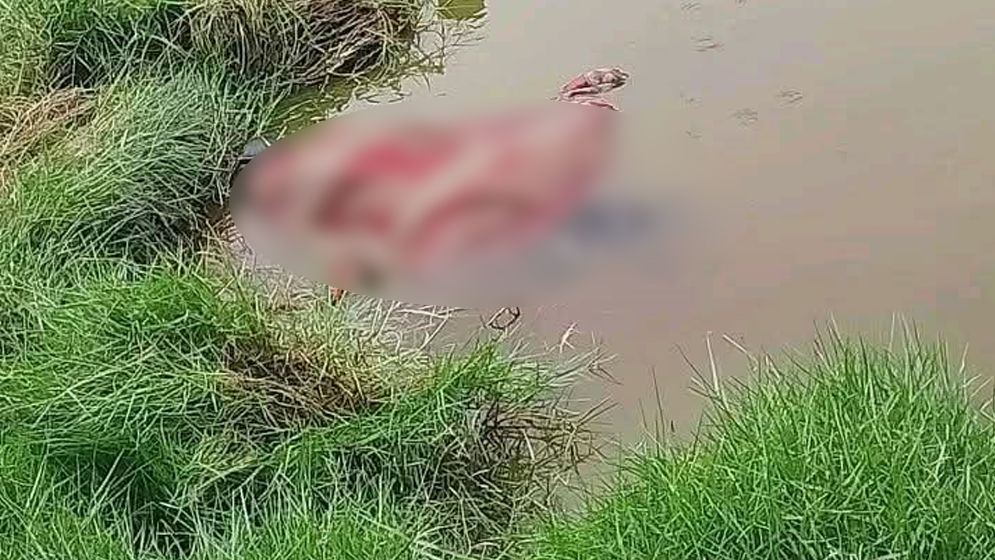 পাইকগাছায় পুলিশ কর্মকর্তার মাকে গলাকেটে হত্যা