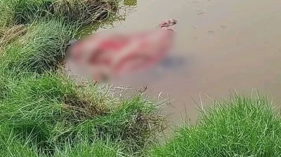পাইকগাছায় পুলিশ কর্মকর্তার মাকে গলাকেটে হত্যা
