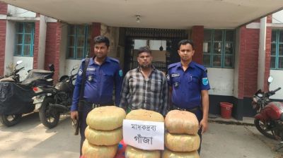 শিবালয়ে ২০ কেজি গাঁজাসহ আটক ১