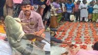 ব্রহ্মপুত্র নদে ধরা পড়ল ৯০ কেজির বাঘাইর