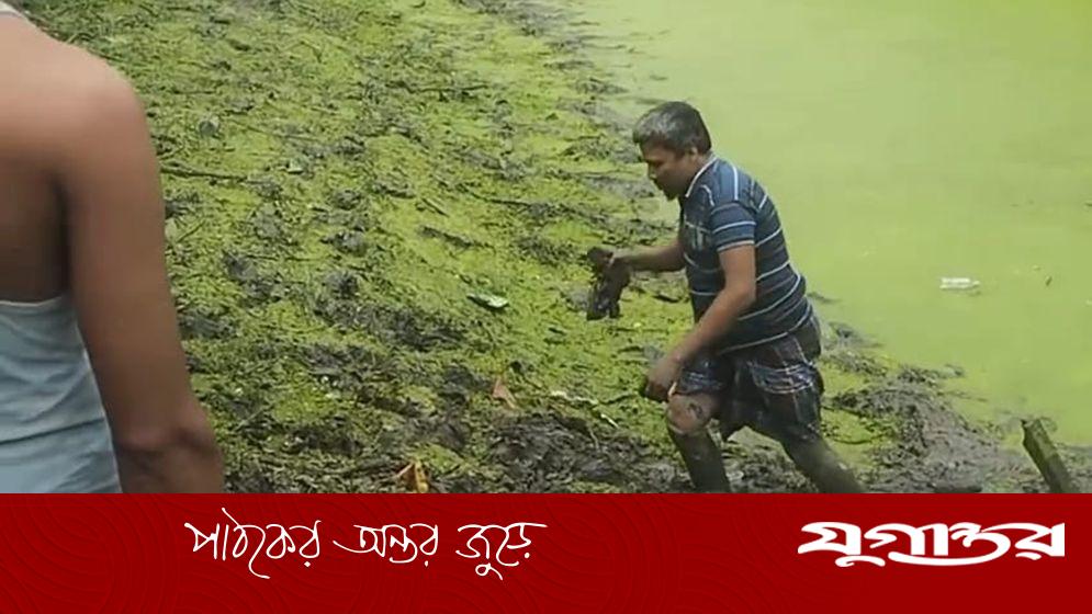 ভোলায় পুকুরে মাছ ধরতে গিয়ে দৃষ্টি প্রতিবন্ধী জসিমের হাতে বিদেশি পিস্তল