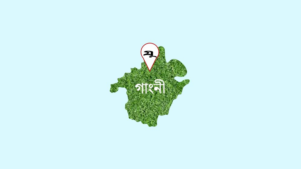 ঘোষণা দিয়ে আ.লীগ নেতাকর্মীদের কুপিয়ে জখম