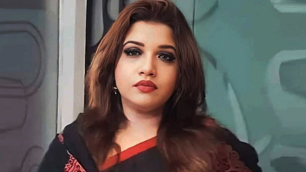 ভারত থেকে জ্বালানি আমদানি নিয়ে সুখবর দিলেন পররাষ্ট্র প্রতিমন্ত্রী