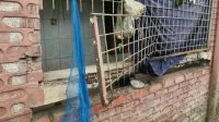 বাগেরহাটে ছাত্রী নিবাসে গণচুরি