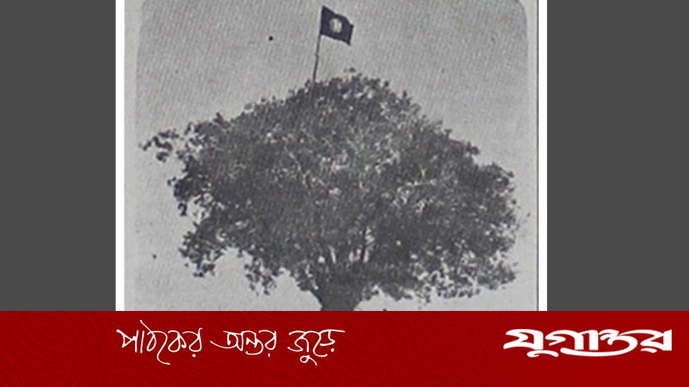 ১৯৭১ সালের ২২ মার্চ পিলখানায় প্রথম বিদ্রোহ: স্বাধীনতার পতাকা উত্তোলনের অজানা ইতিহাস