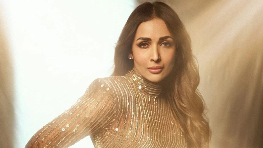 একাধিক পুরুষের সঙ্গে প্রেমের গুঞ্জন, মুখ খুললেন মালাইকা