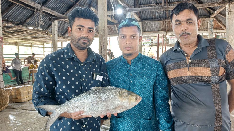 বিষখালী নদীতে মিলল ‘রাজা’ ইলিশ, বিক্রি হলো যত